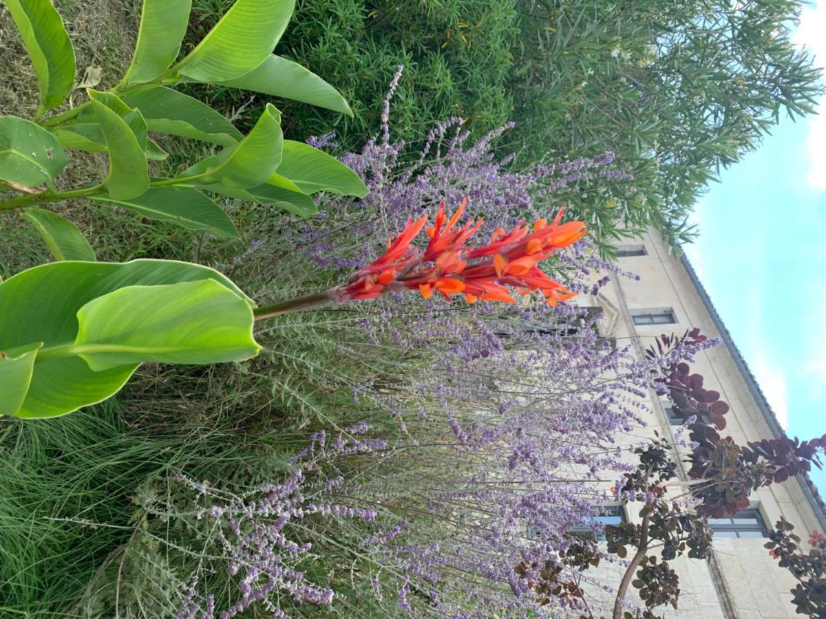 Domaine Terroceane Hotel La-Gripperie-Saint-Symphorien Buitenkant foto