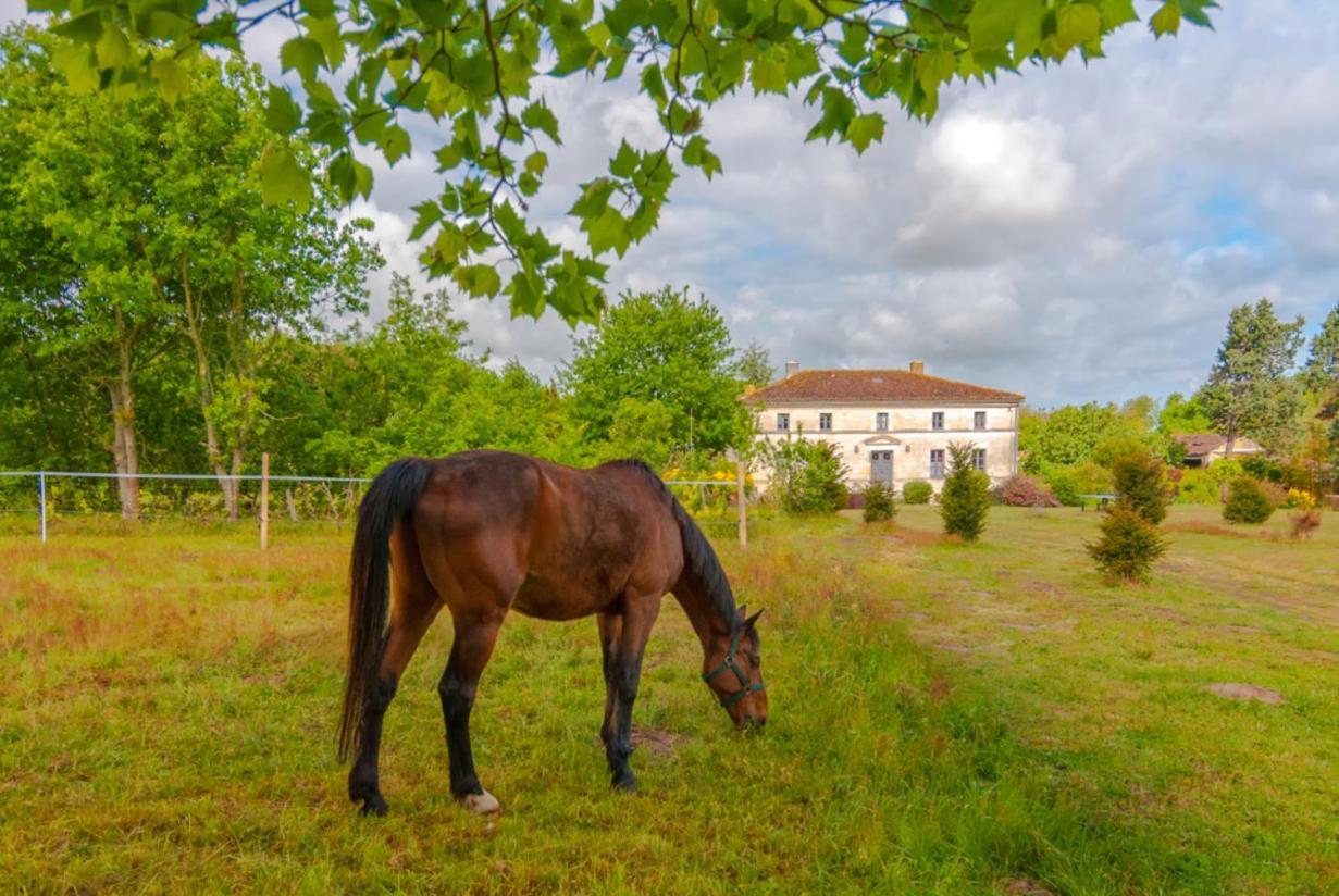 Domaine Terroceane Hotel La-Gripperie-Saint-Symphorien Buitenkant foto